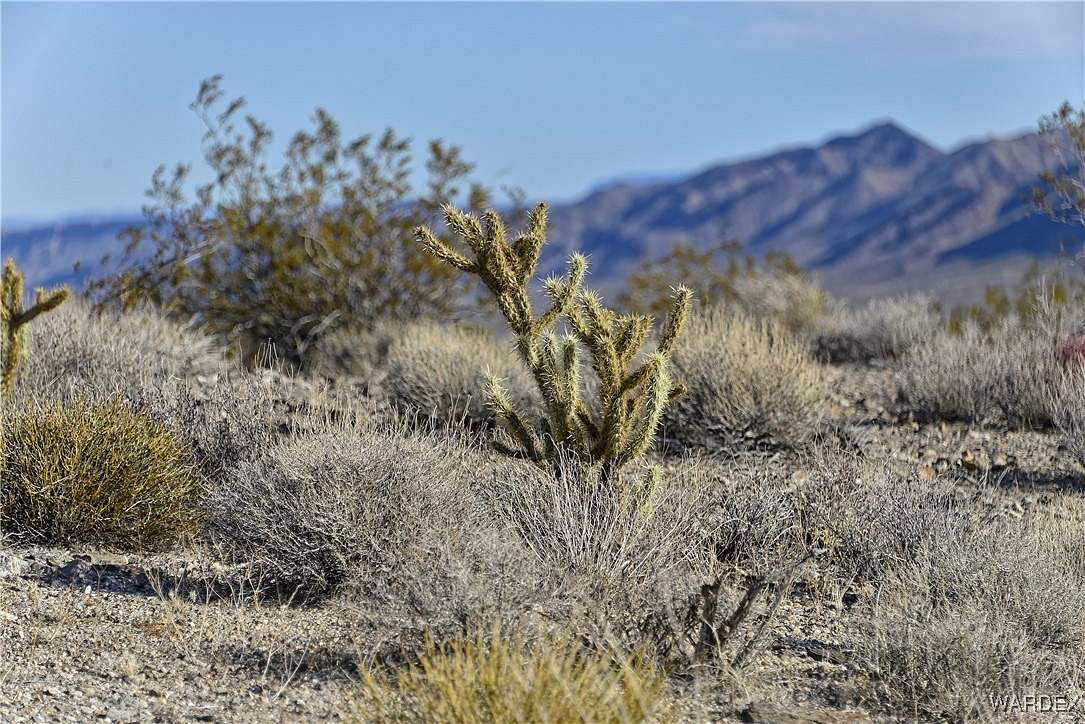 6 Acres of Land for Sale in Meadview, Arizona