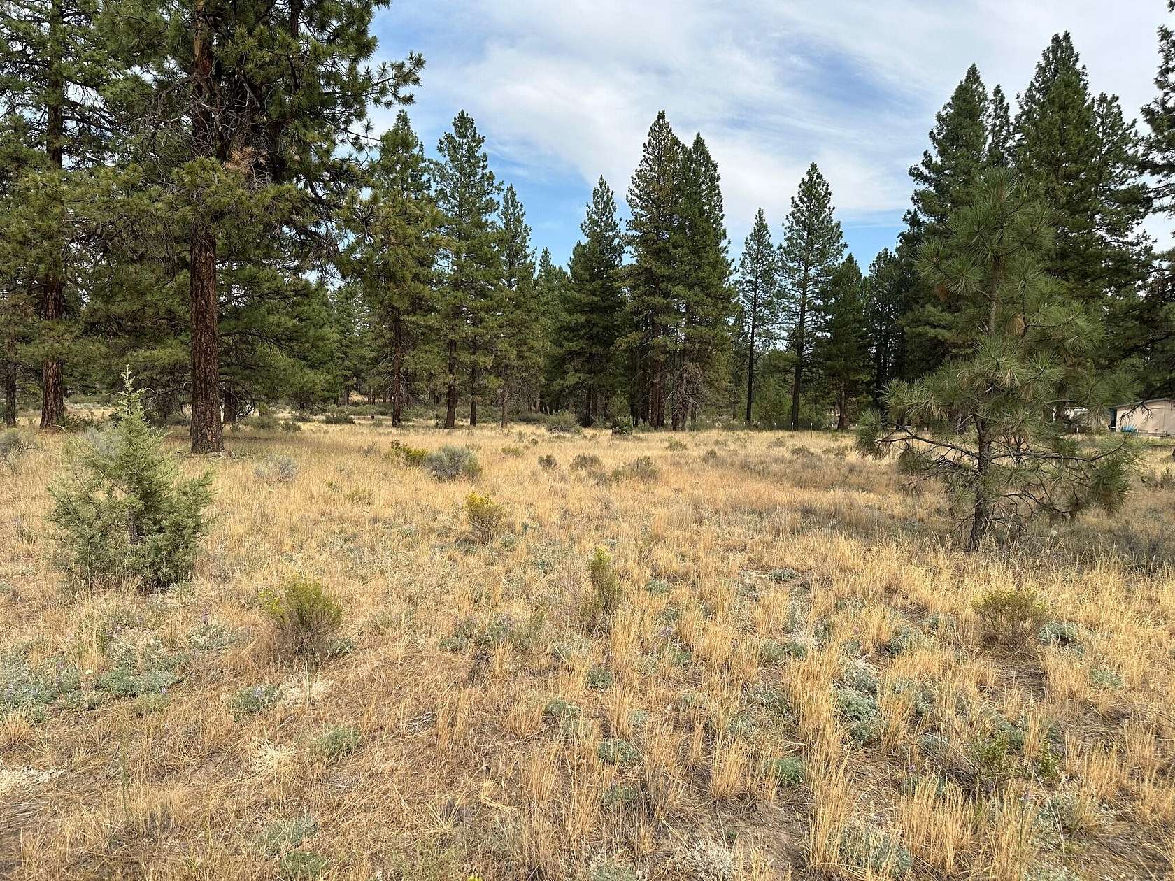 2.87 Acres of Residential Land for Sale in Bonanza, Oregon