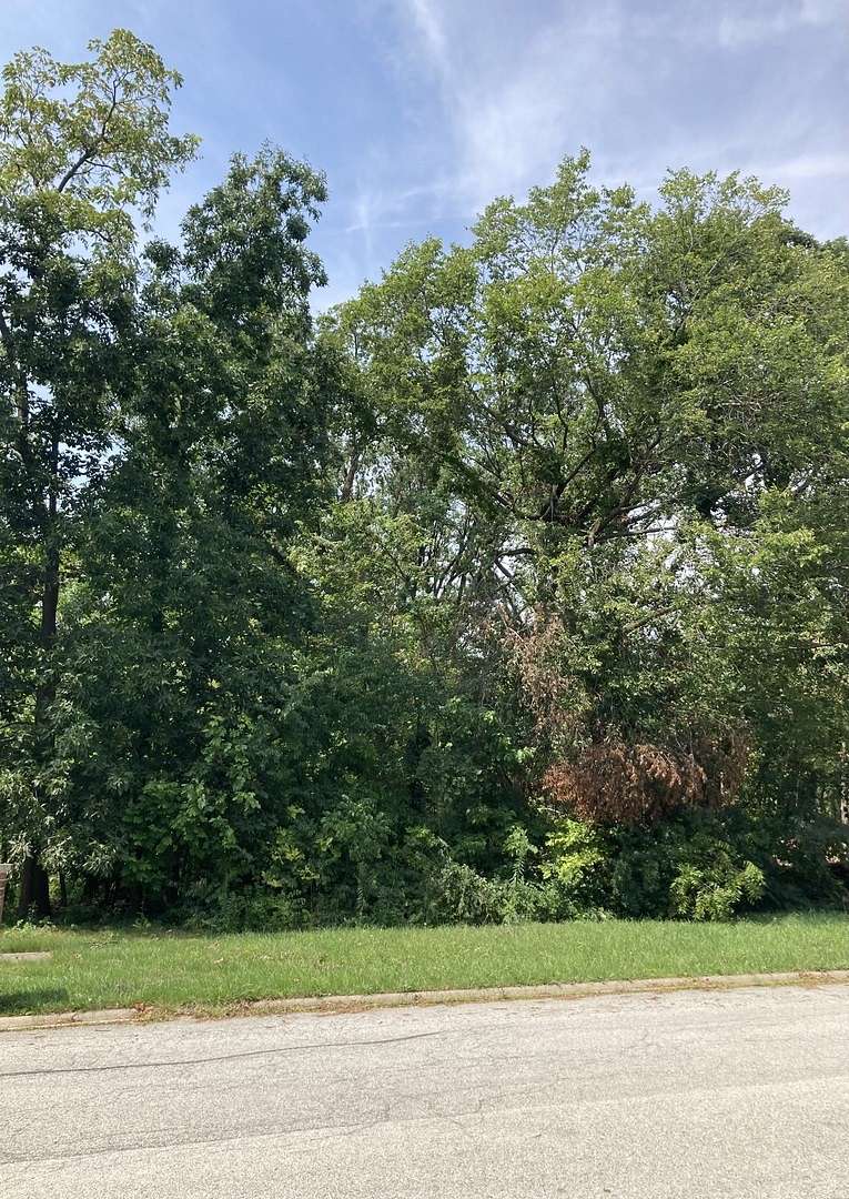 Residential Land for Sale in Frankfort, Illinois