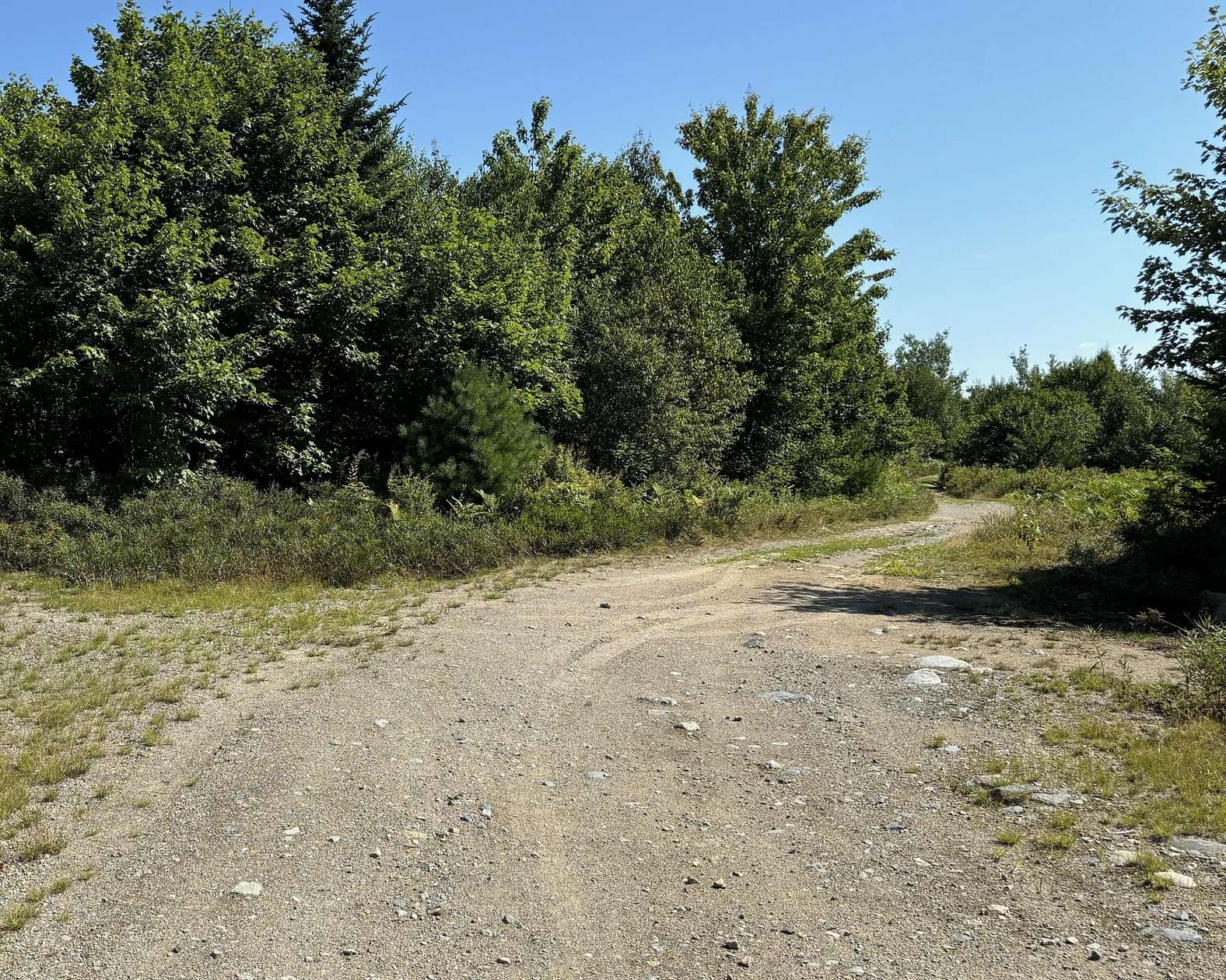 80 Acres of Land for Sale in Sullivan, Maine