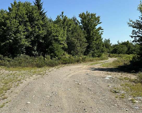 80 Acres of Land for Sale in Sullivan, Maine