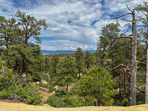 48 Acres of Recreational Land for Sale in Cuba, New Mexico