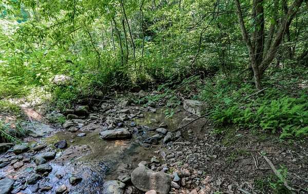 6.39 Acres of Recreational Land for Sale in Cosby, Tennessee