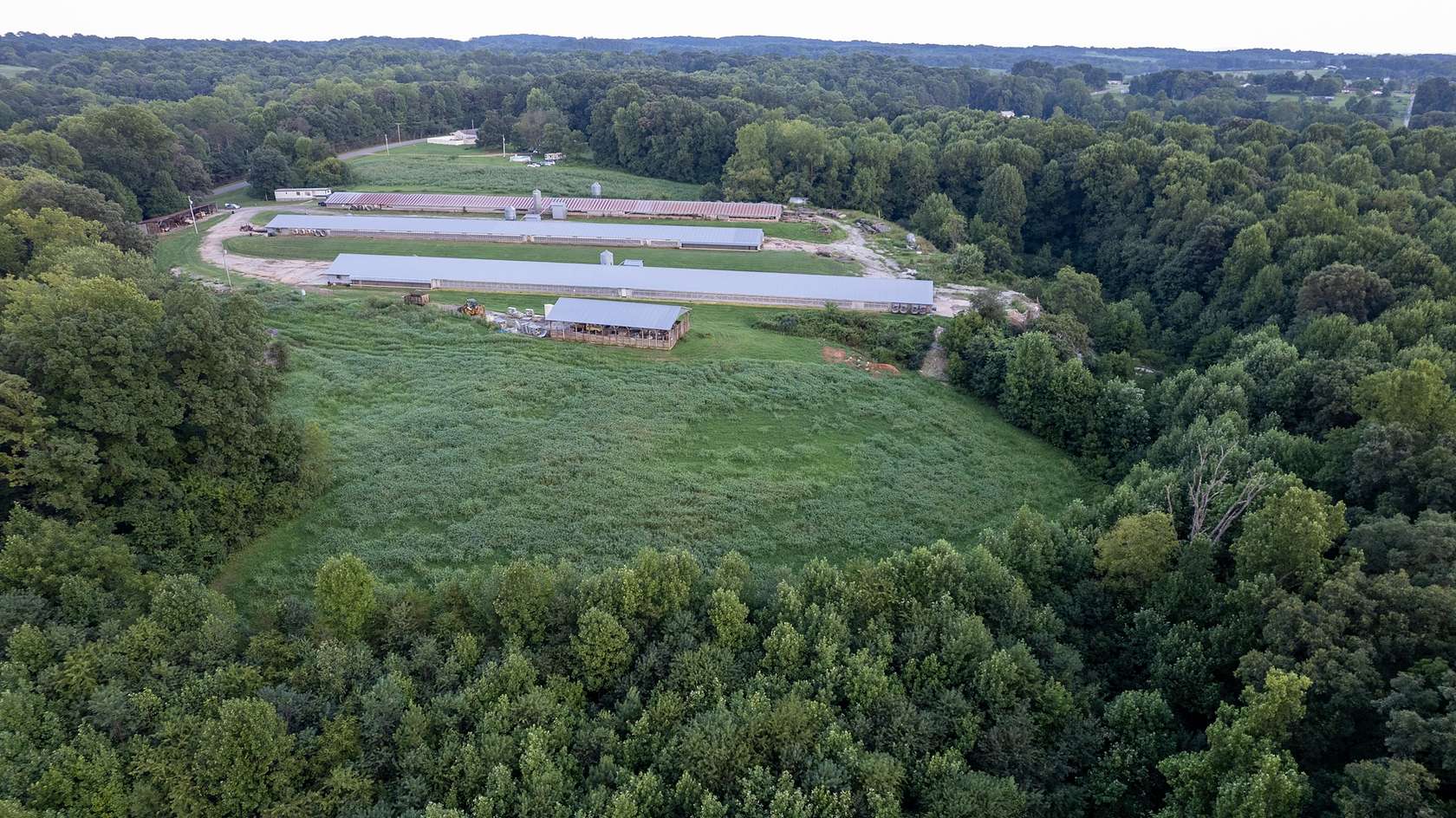 12.52 Acres of Recreational Land & Farm for Sale in Taylorsville, North Carolina