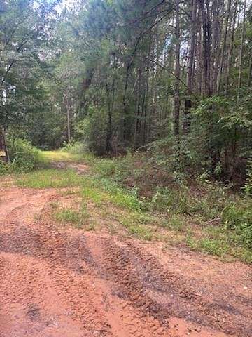 438 Acres of Recreational Land for Sale in Nacogdoches, Texas