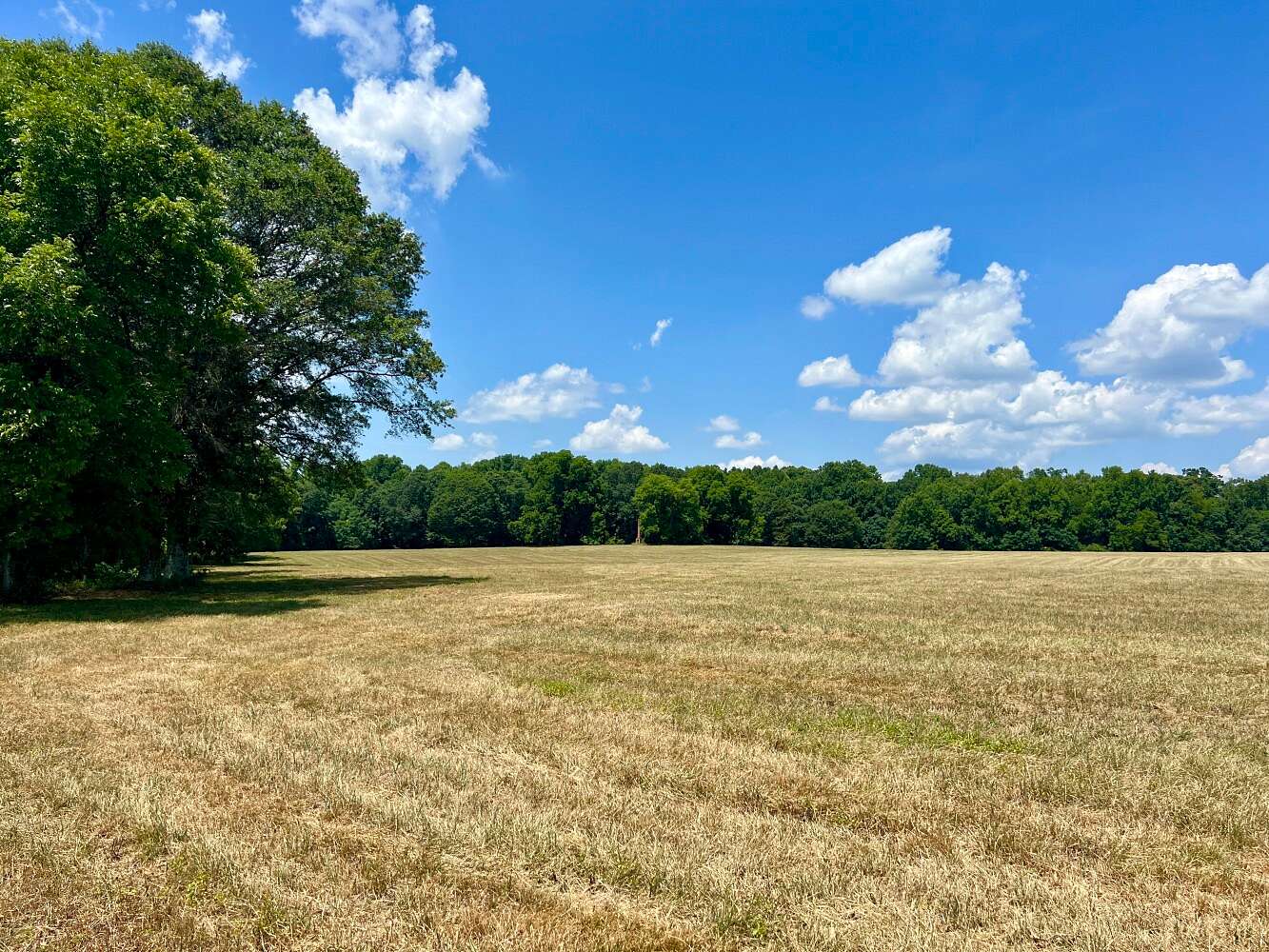 1.65 Acres of Residential Land for Sale in Starr, South Carolina