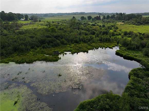 21.5 Acres of Land for Sale in Sherman, New York