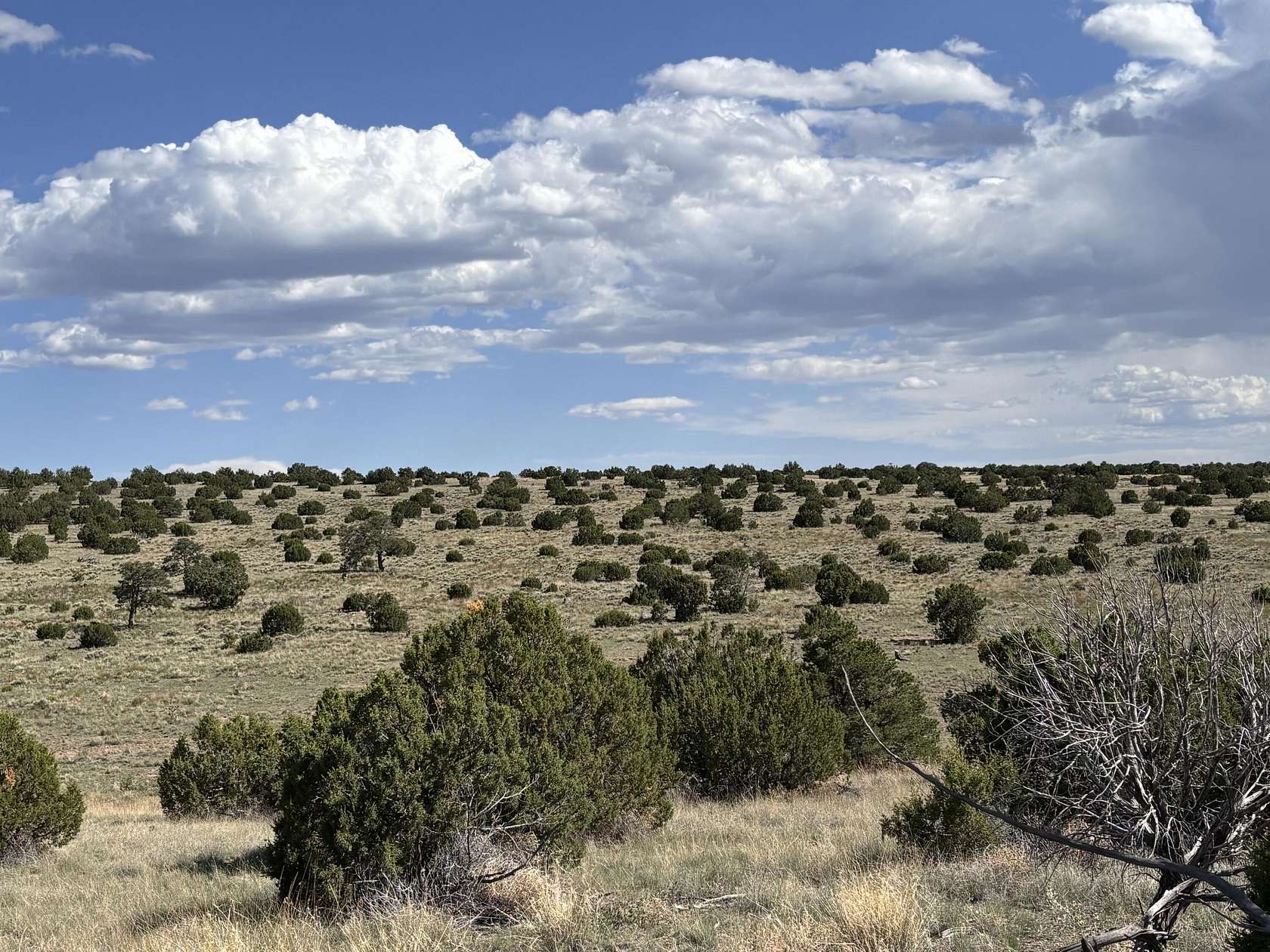 40.04 Acres of Recreational Land for Sale in Magdalena, New Mexico