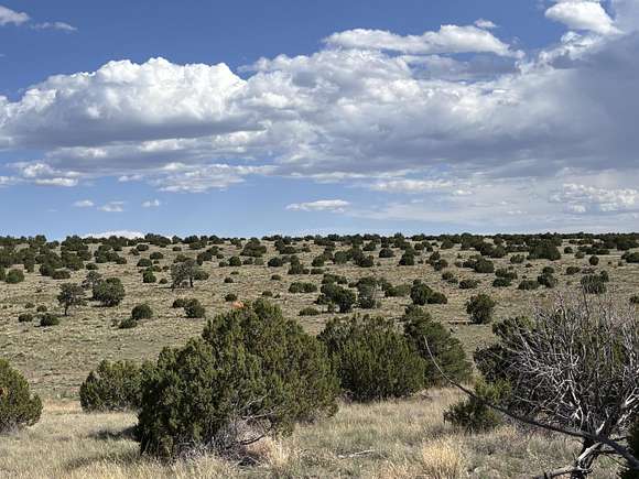 40.04 Acres of Recreational Land for Sale in Magdalena, New Mexico