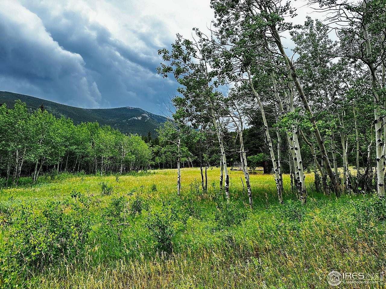 3.73 Acres of Land for Sale in Allenspark, Colorado