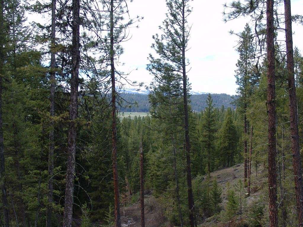 1.09 Acres of Residential Land for Sale in Cascade, Idaho