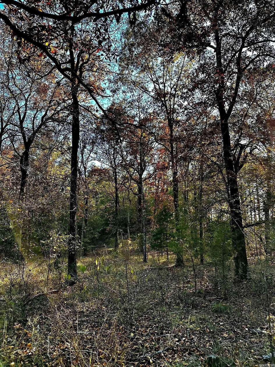 5 Acres of Residential Land for Sale in Cove, Arkansas