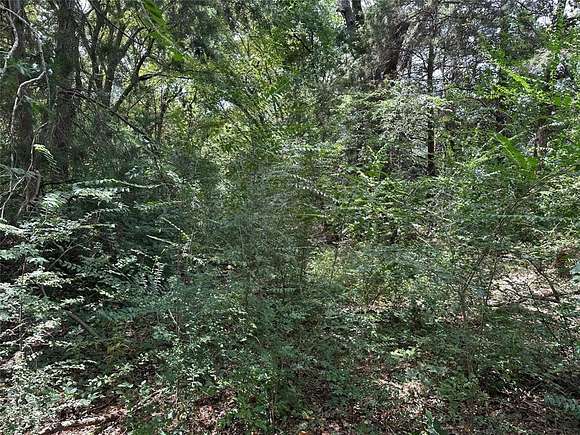 12.63 Acres of Land for Sale in Mount Vernon, Texas