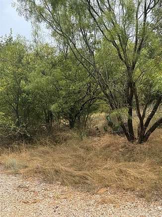 0.17 Acres of Residential Land for Sale in Mineral Wells, Texas