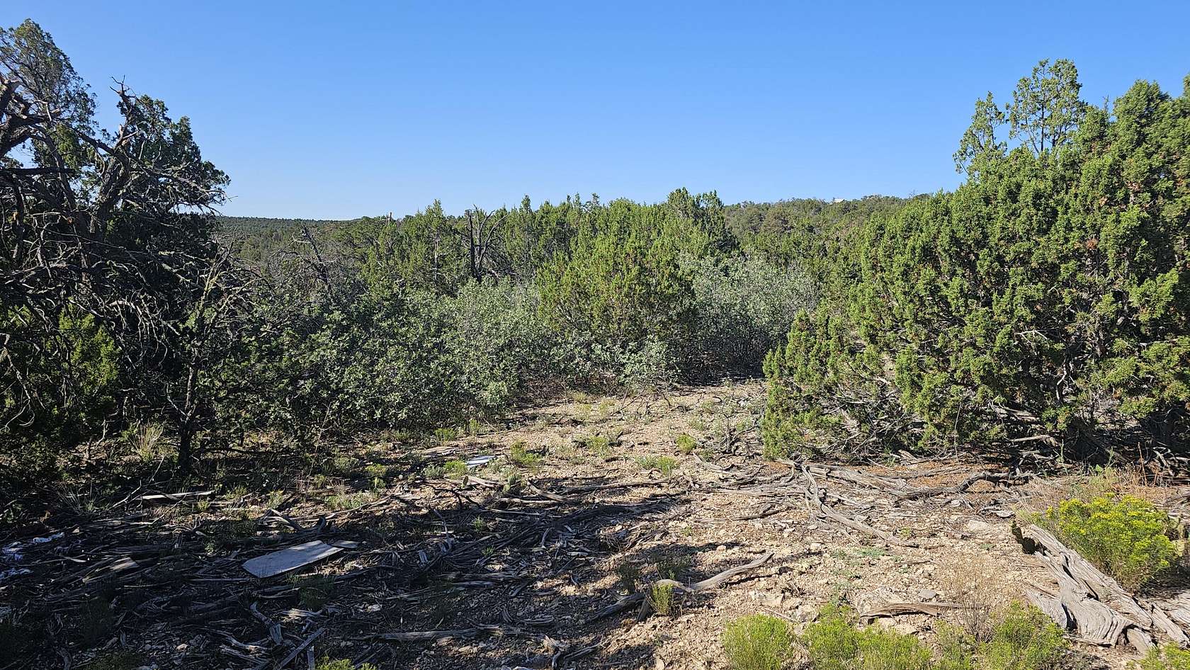 1.02 Acres of Land for Sale in Edgewood, New Mexico