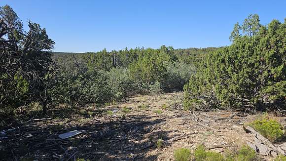 1.02 Acres of Land for Sale in Edgewood, New Mexico