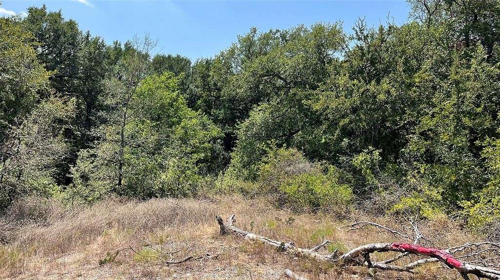 0.52 Acres of Land for Sale in Decatur, Texas