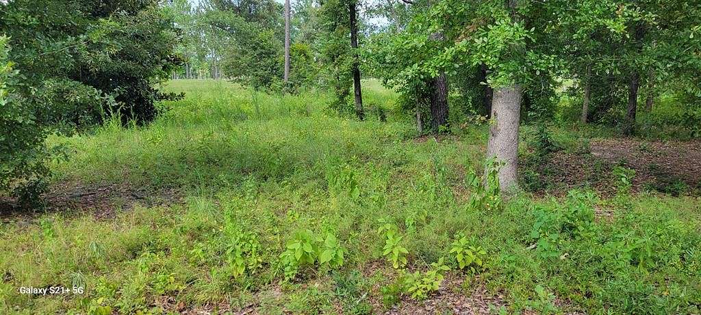 1 Acre of Residential Land for Sale in Donalsonville, Georgia