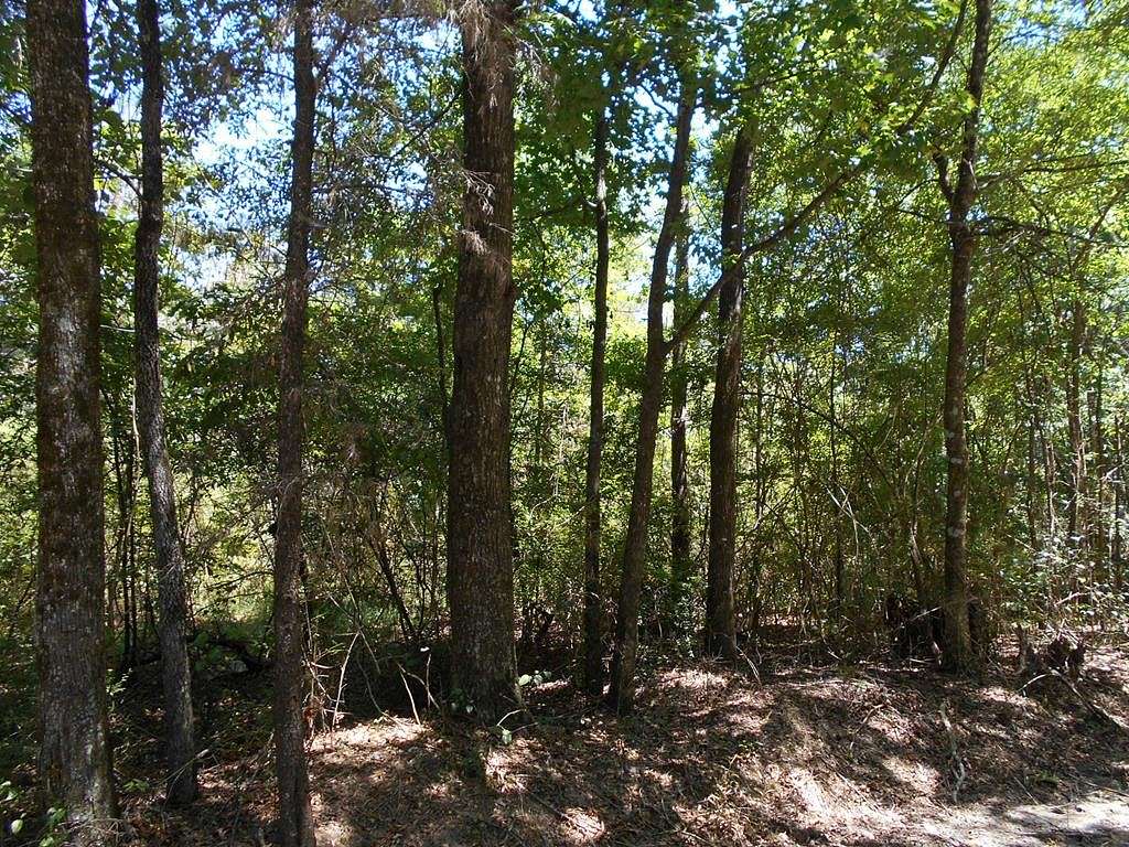 3.2 Acres of Land for Sale in Monticello, Mississippi