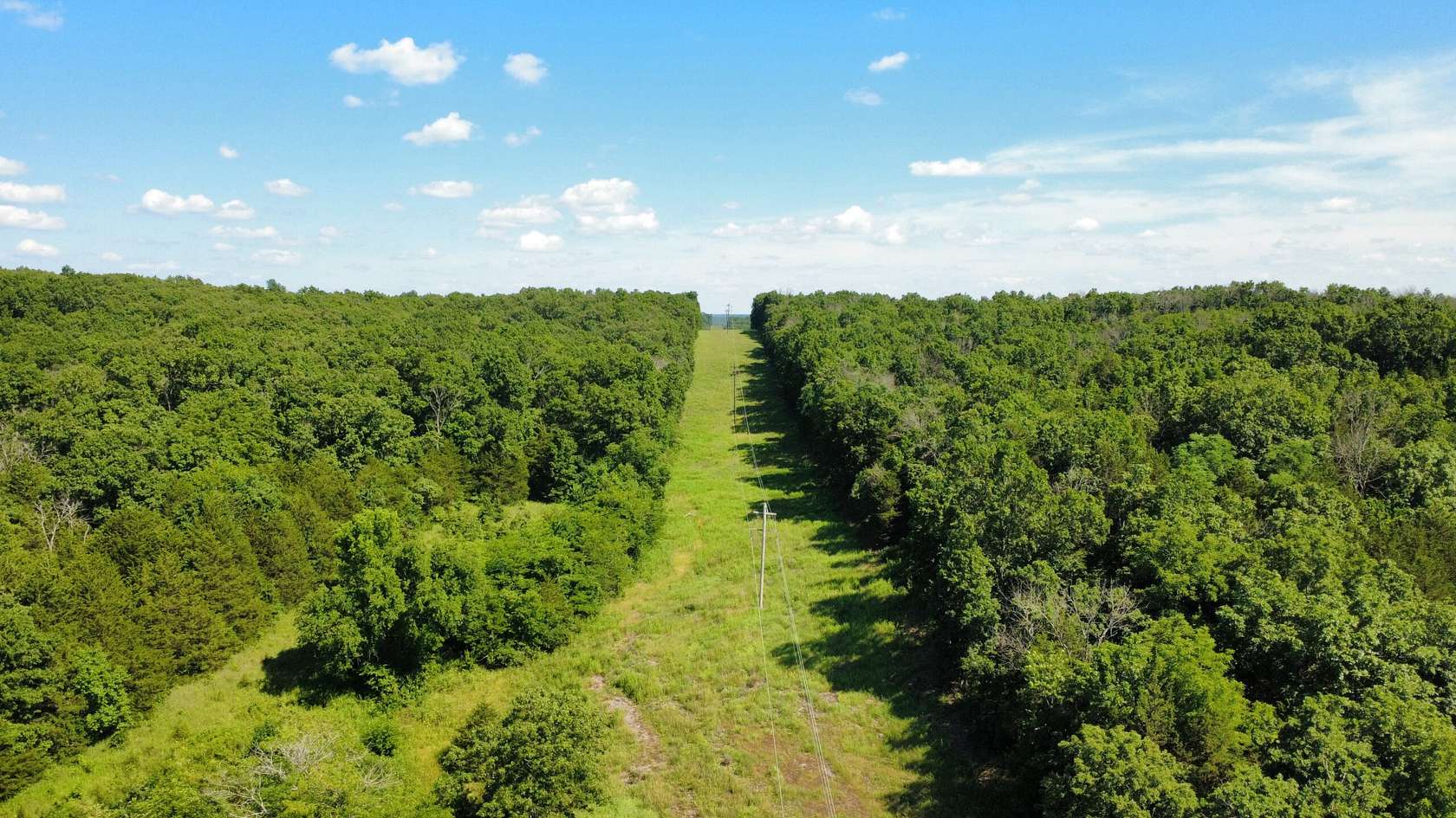 178 Acres of Recreational Land & Farm for Sale in Weaubleau, Missouri