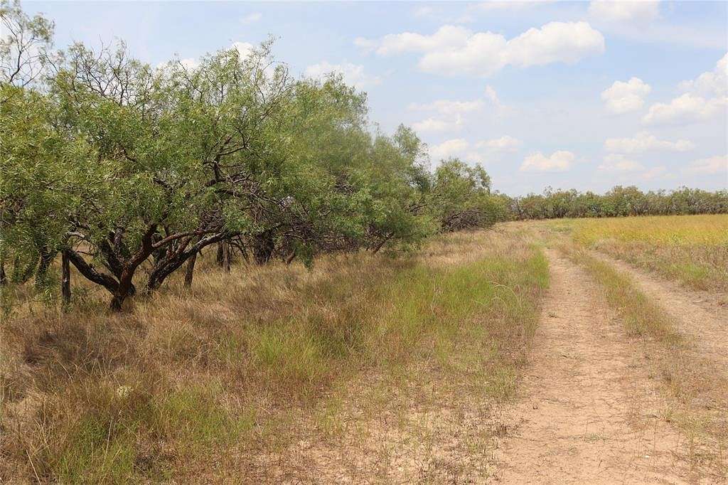 24.19 Acres of Recreational Land & Farm for Sale in Novice, Texas