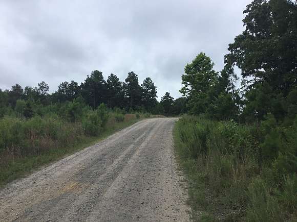 29.4 Acres of Recreational Land for Sale in Quitman, Arkansas