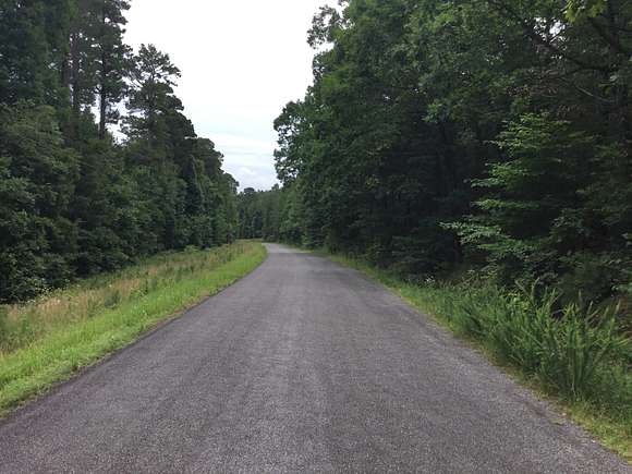 103.8 Acres of Recreational Land for Sale in Drasco, Arkansas