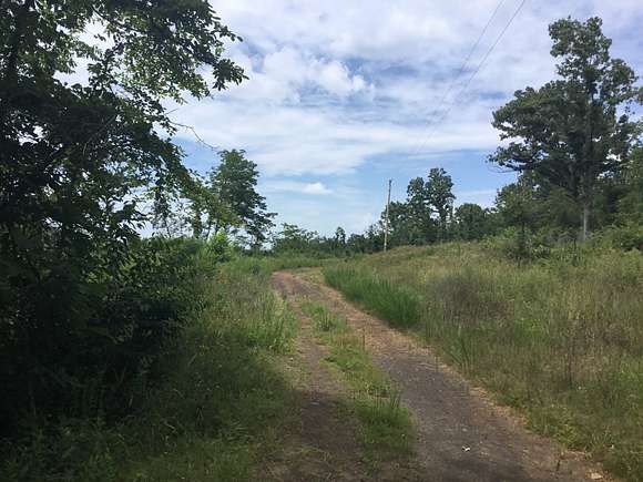 79.5 Acres of Recreational Land for Sale in Ola, Arkansas