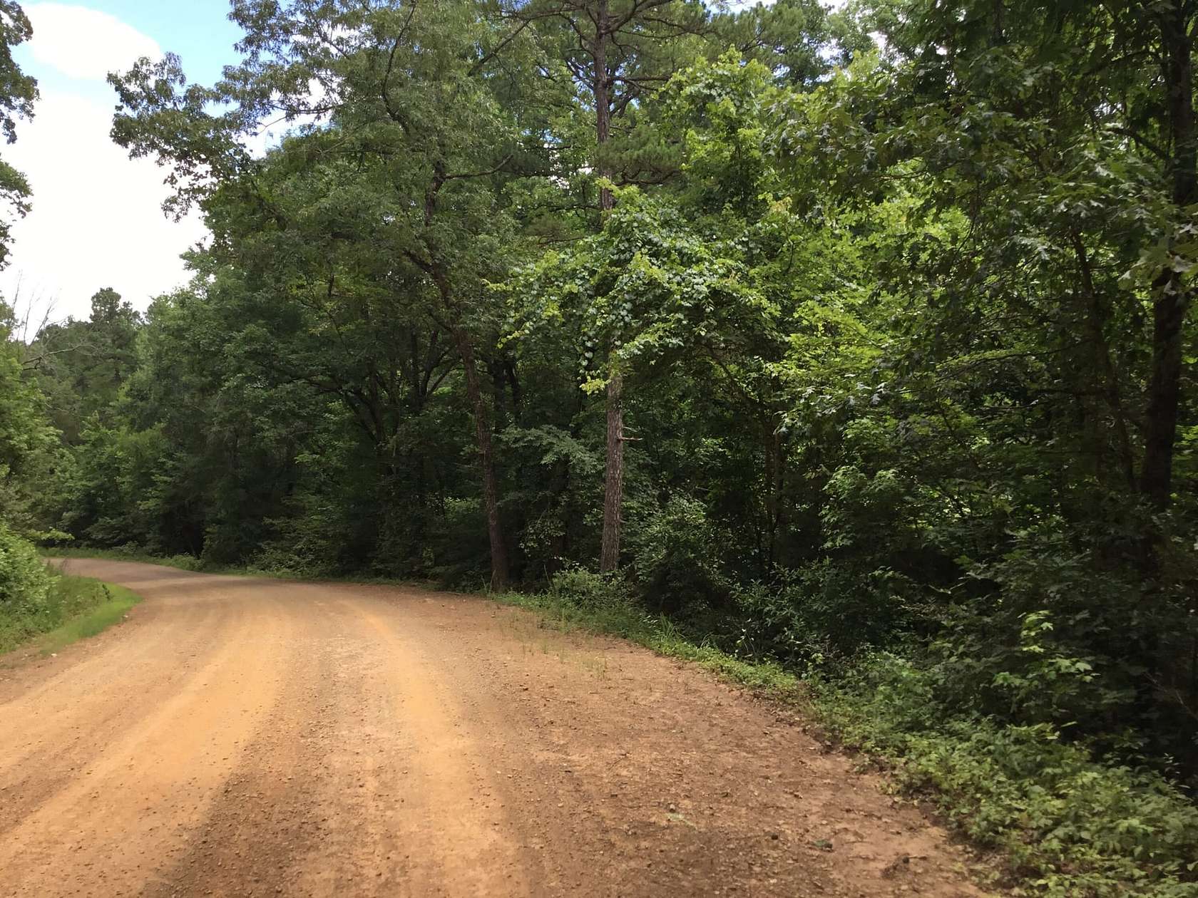 87.66 Acres of Recreational Land for Sale in Booneville, Arkansas