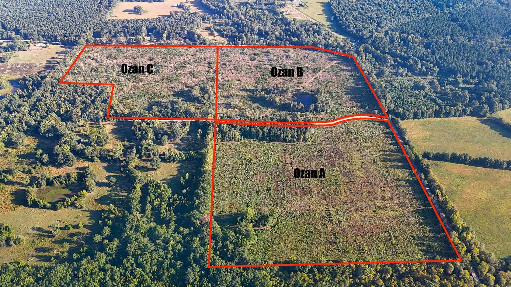 38 Acres of Recreational Land for Sale in Ozan, Arkansas