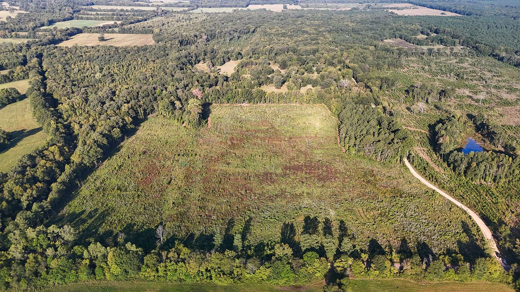 38 Acres of Recreational Land for Sale in Ozan, Arkansas