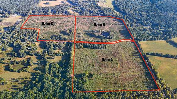 36.8 Acres of Recreational Land for Sale in Ozan, Arkansas