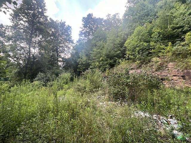 0.15 Acres of Land for Sale in Welch, West Virginia