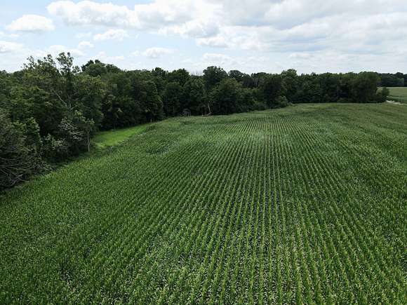 11.89 Acres of Agricultural Land for Sale in Georgetown, Illinois