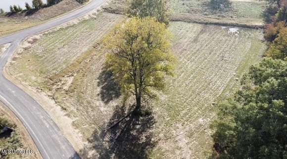 2.5 Acres of Residential Land for Sale in Hernando, Mississippi