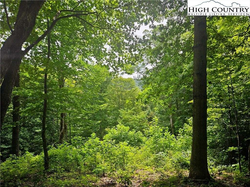 1.5 Acres of Land for Sale in Todd, North Carolina