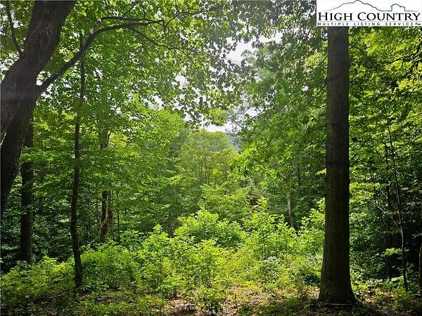 1.5 Acres of Land for Sale in Todd, North Carolina