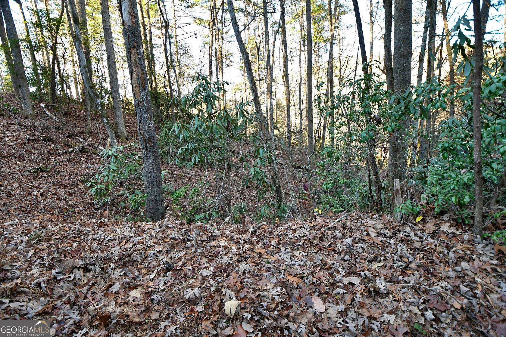 2 Acres of Residential Land for Sale in Clayton, Georgia