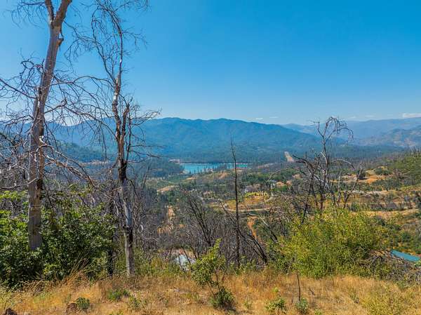 8.5 Acres of Residential Land for Sale in Lakehead, California
