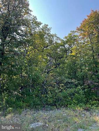 0.38 Acres of Residential Land for Sale in Winchester, Virginia