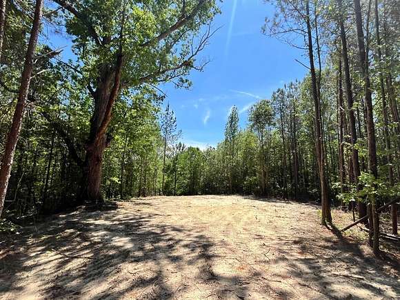 19 Acres of Recreational Land for Sale in Carthage, Mississippi