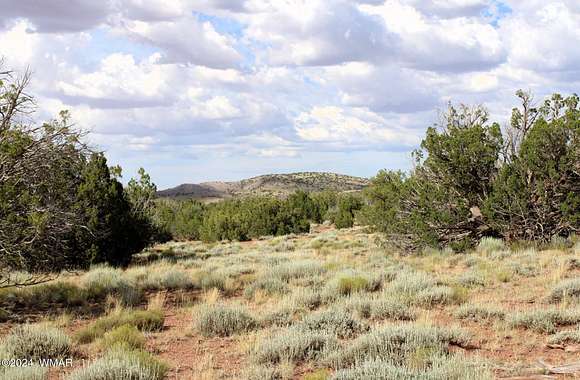 38.5 Acres of Recreational Land for Sale in Concho, Arizona