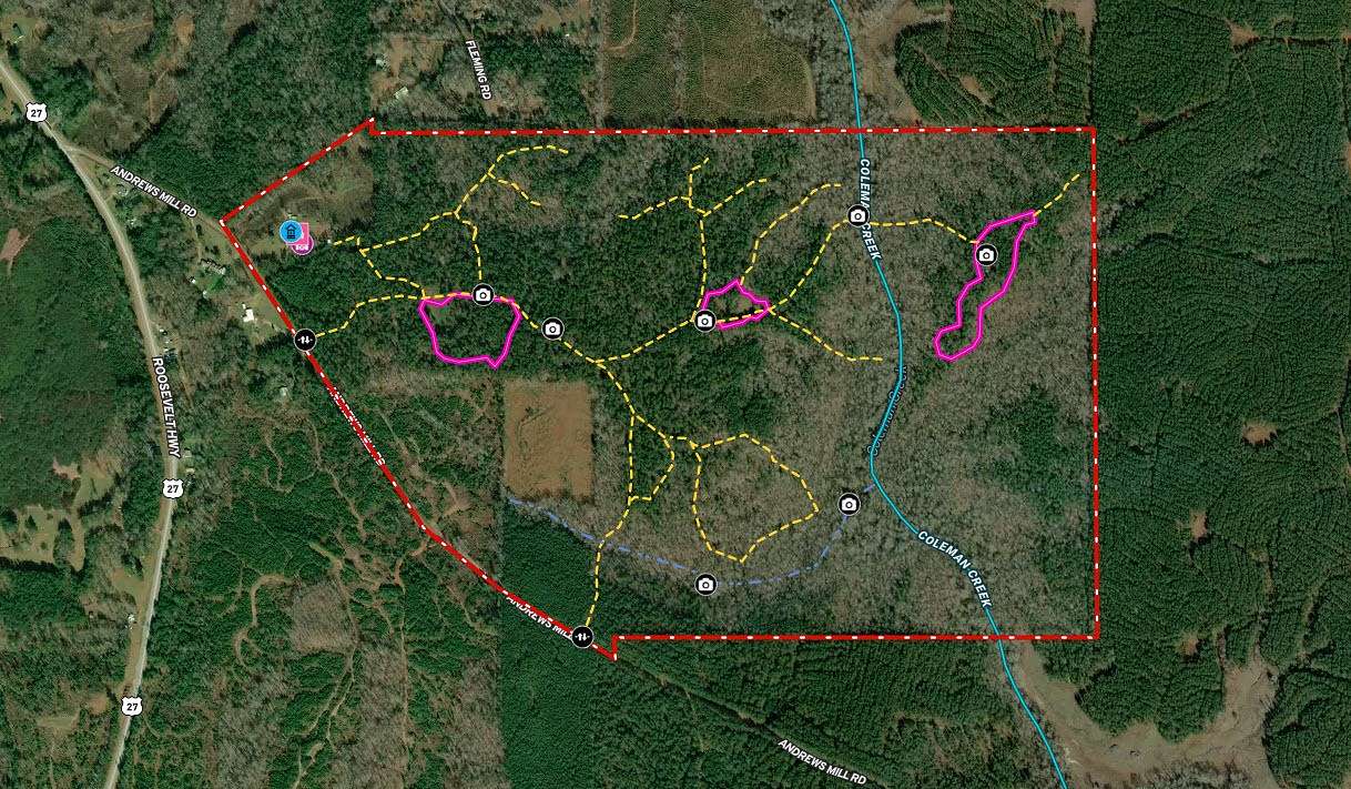 293.919 Acres of Recreational Land for Sale in Greenville, Georgia