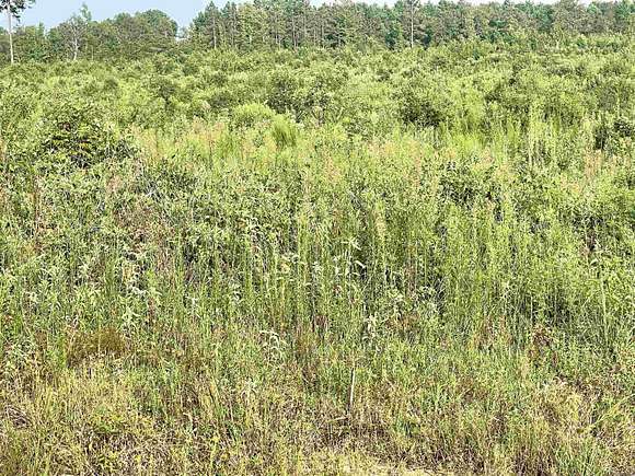 35 Acres of Land for Sale in Doddridge, Arkansas