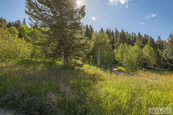 2.3 Acres of Land for Sale in Island Park, Idaho