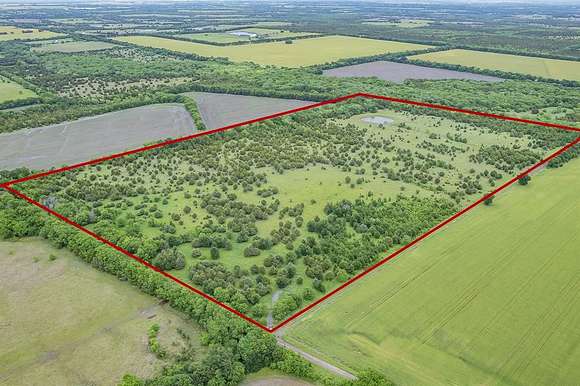 43.27 Acres of Recreational Land for Sale in Bailey, Texas