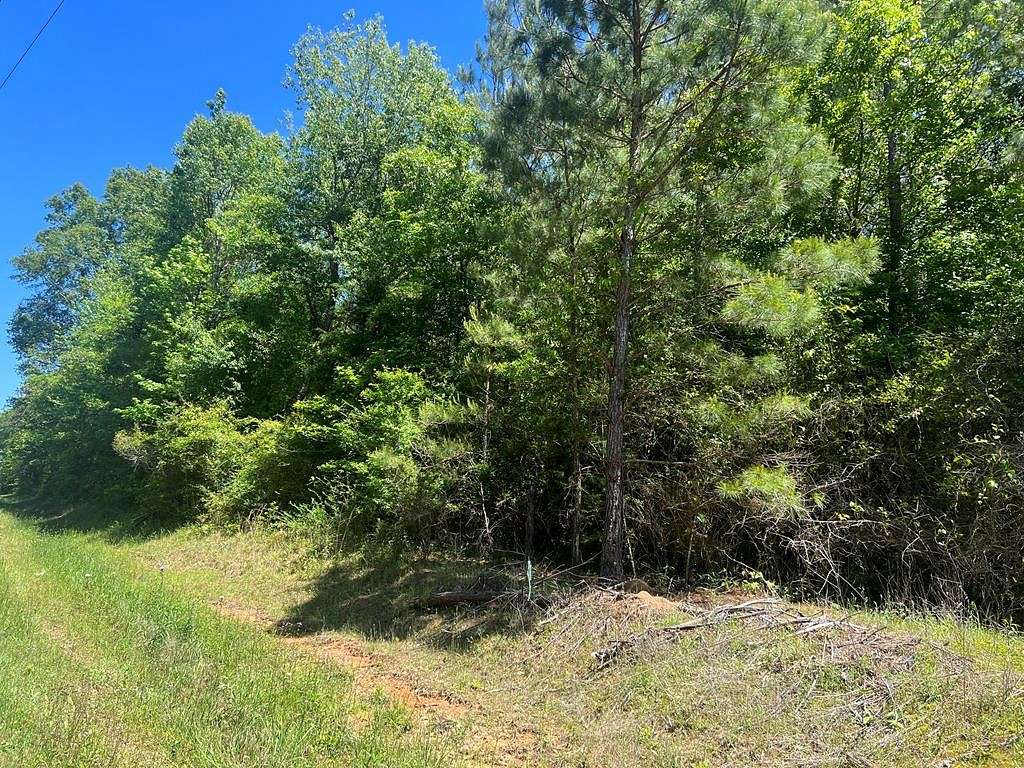 20.2 Acres of Land for Sale in Laurel, Mississippi