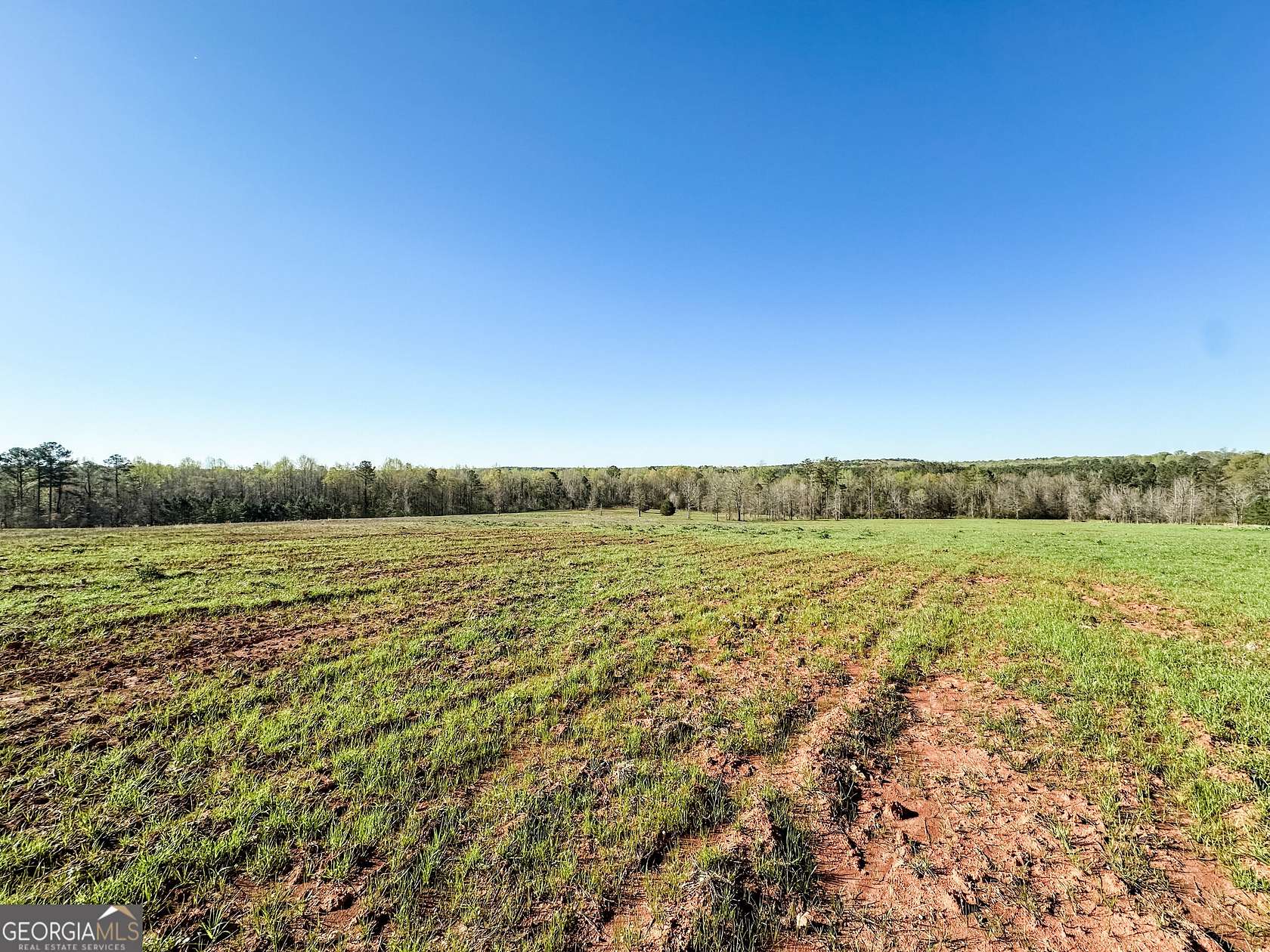 82.63 Acres of Agricultural Land for Sale in Monticello, Georgia