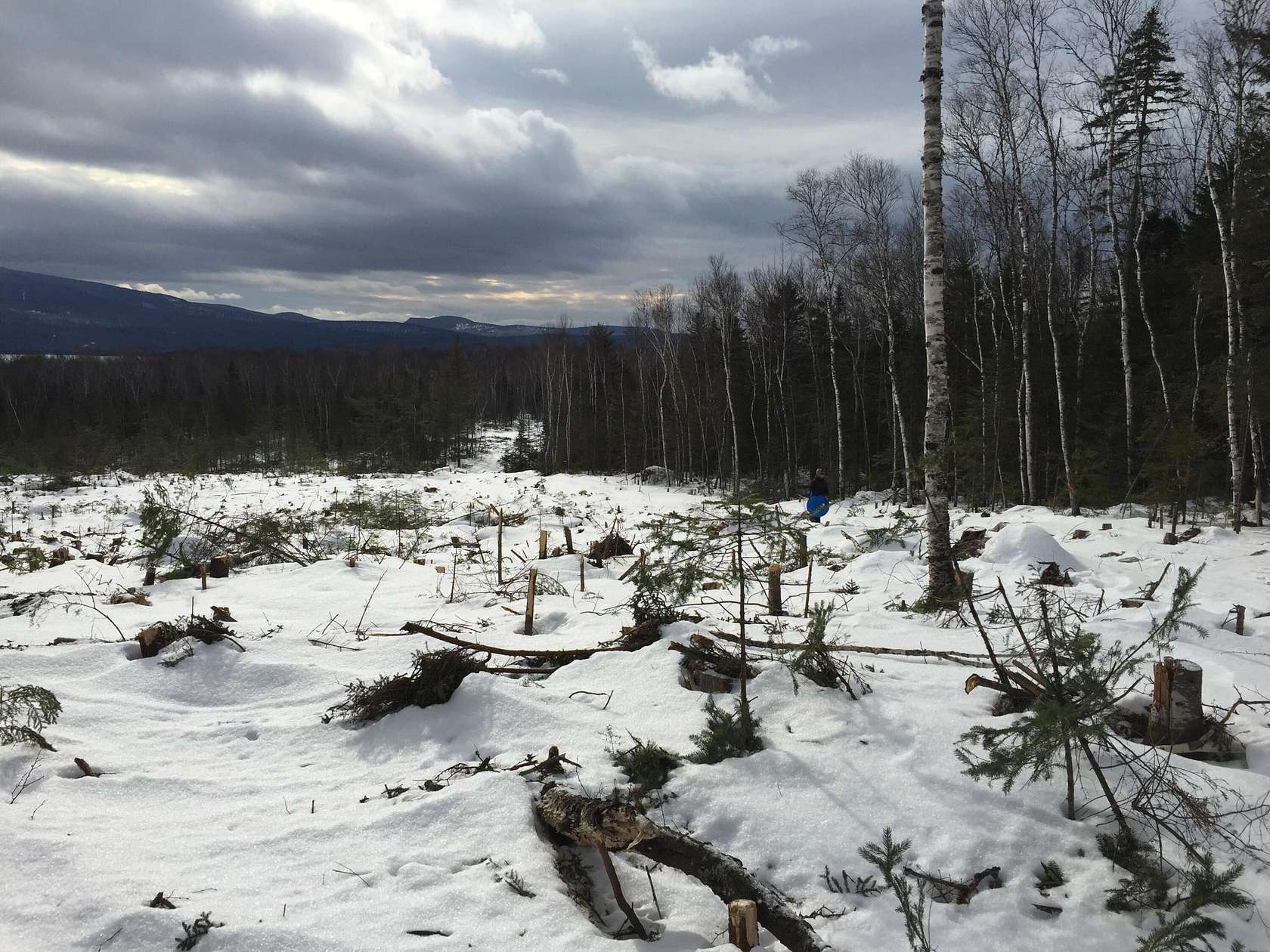 25.33 Acres of Land for Sale in Rangeley Town, Maine