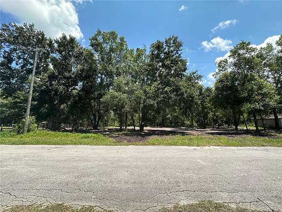 0.3 Acres of Residential Land for Sale in Land O' Lakes, Florida